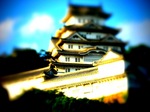 IMG_4492.jpg